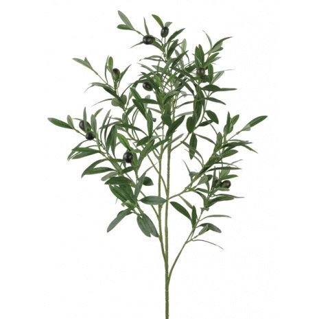 Olive Spray 90cm