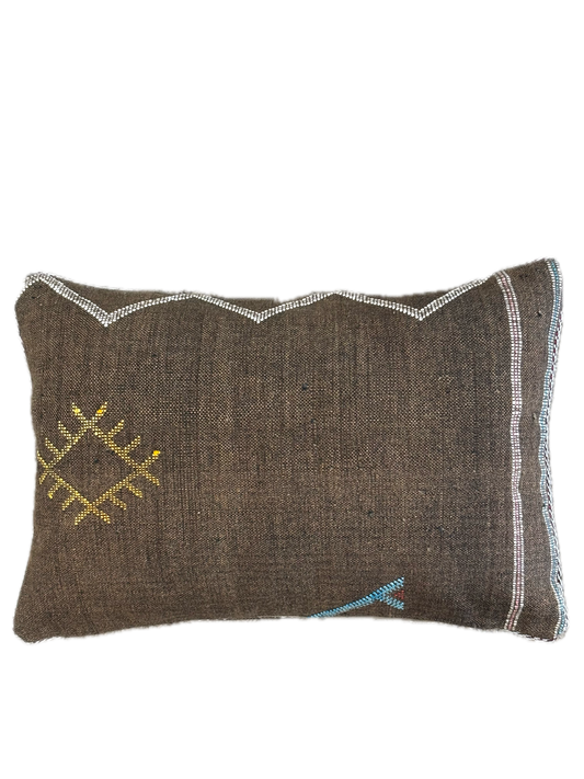 Cactus Silk Moroccan Cushions