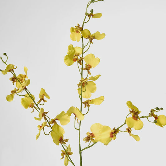 Yellow Lilly Orchid 98cm