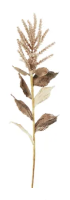 Wheat Stem 50cm