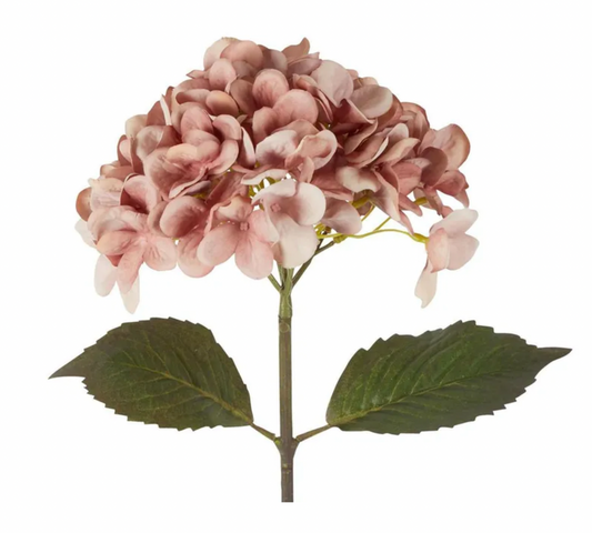 Hydranges Stem
