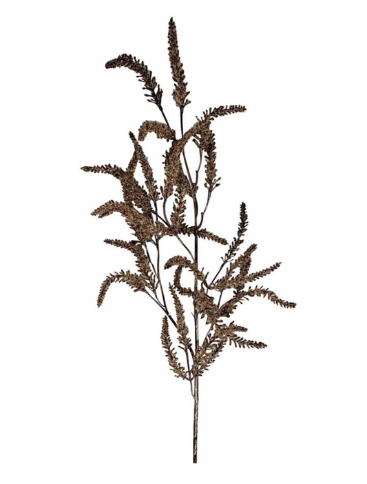 Brown Grass Frond