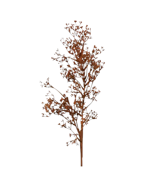 Dried Seed Spray