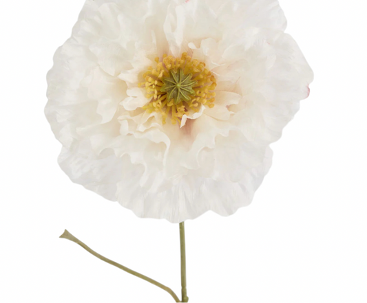 Poppy White Stem