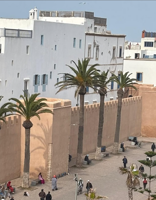 Historic city wall with palm trees and people in a plaza.