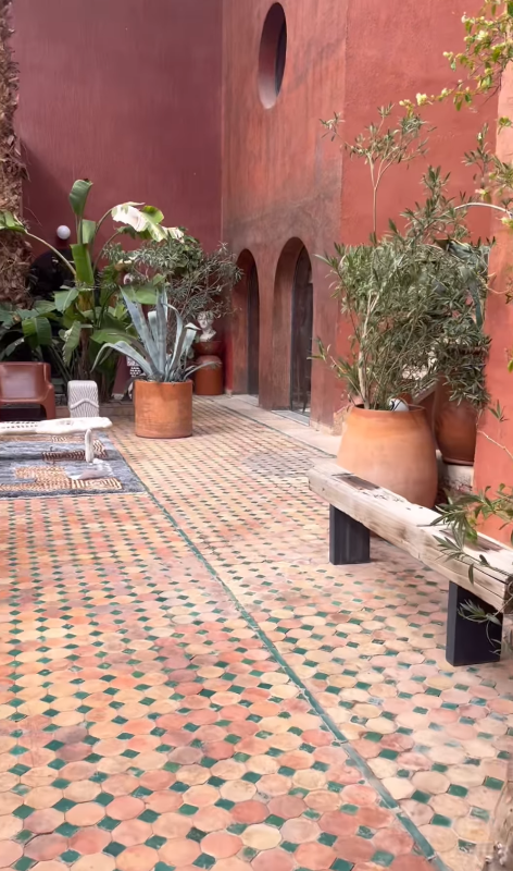 Patio with terracotta tiles, potted plants, and a red wall.