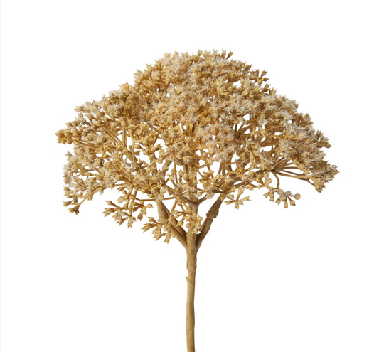 Light brown lace stem