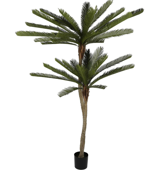 CYCUS PALM TREE 220CM