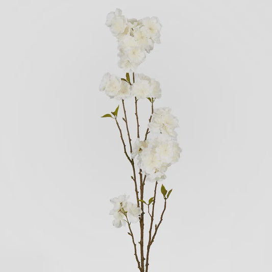 Peach Blossom 118cm