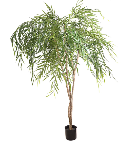 WILLOW TREE 1.8M