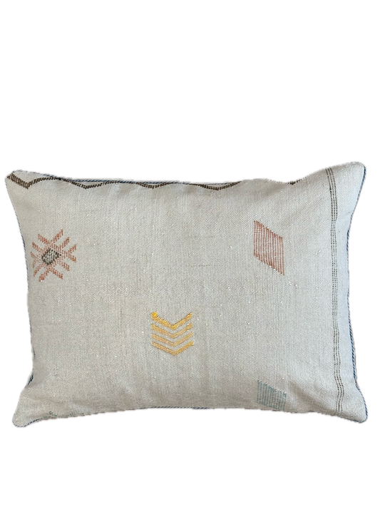 Cactus Silk Moroccan Cushions