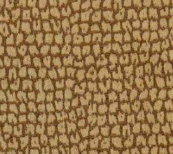 Gaudi w MB Plain Back