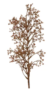 Grass Seed Spray 75cm