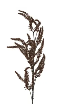 Brown Grass Frond 1m