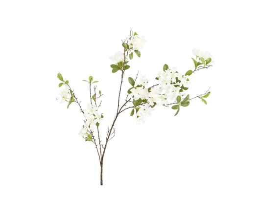 White Blossom Spray