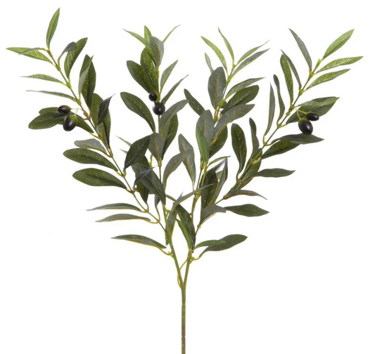 Olive Spray