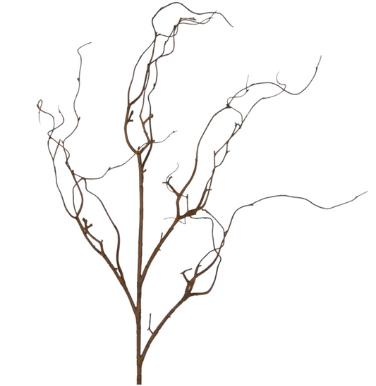 Coated Brown Twig Branches