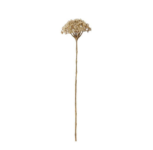 Light Brown Lace Stem