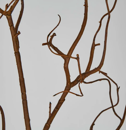 Coated Brown Twig Branches