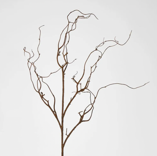 Coated Brown Twig Branches